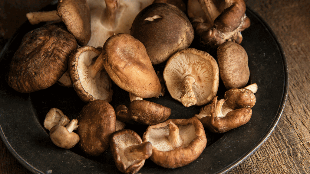 Are Mushrooms Aphrodisiacs A Complete Mushrooms for Sex Guide